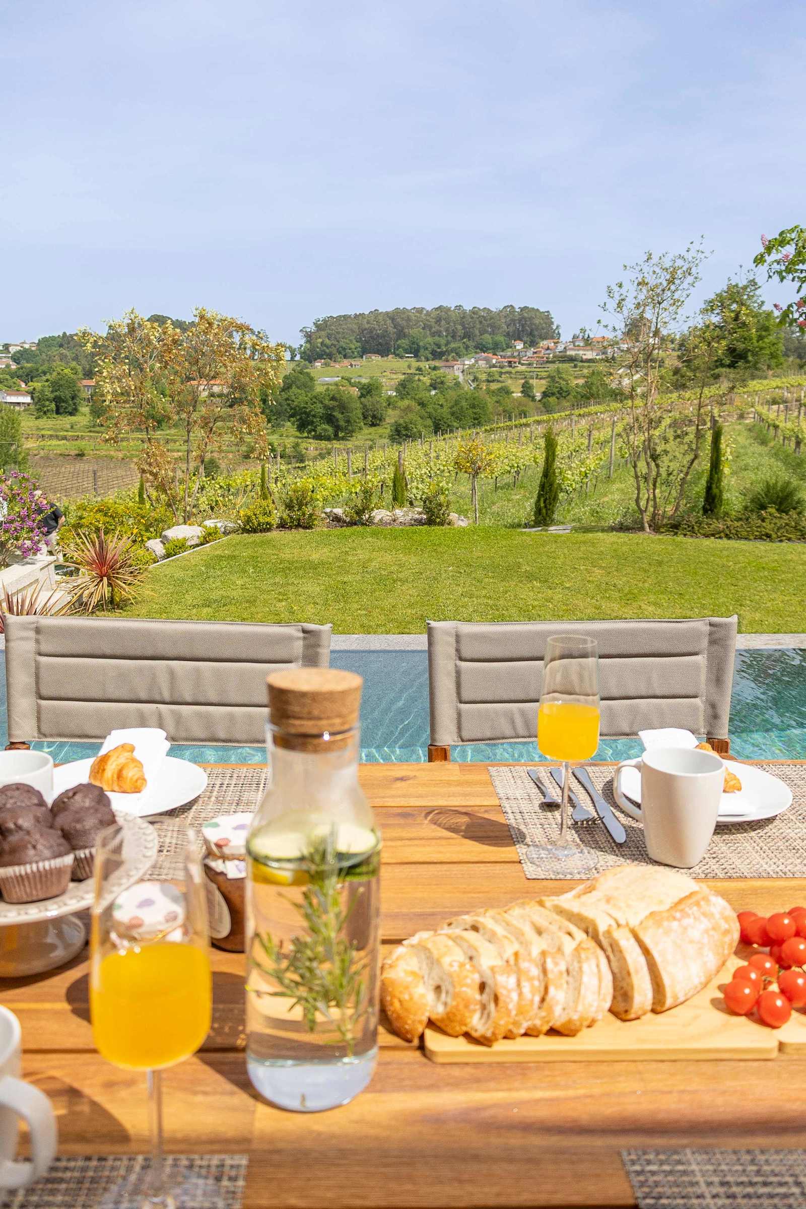 Alvarinho Villa – luxury villa in Porto and Douro, Portugal – image 19