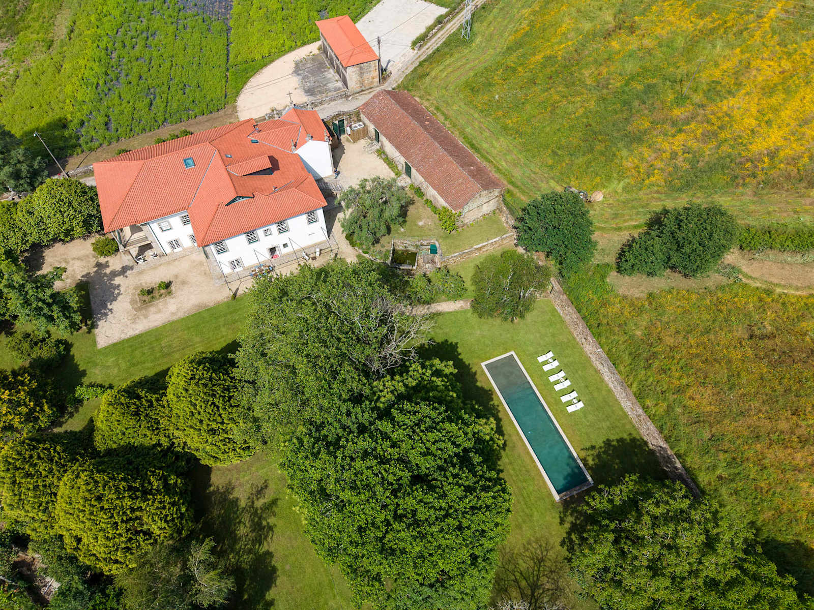 Carcavelos Manor House – luxury villa in Minho, Portugal – image 5