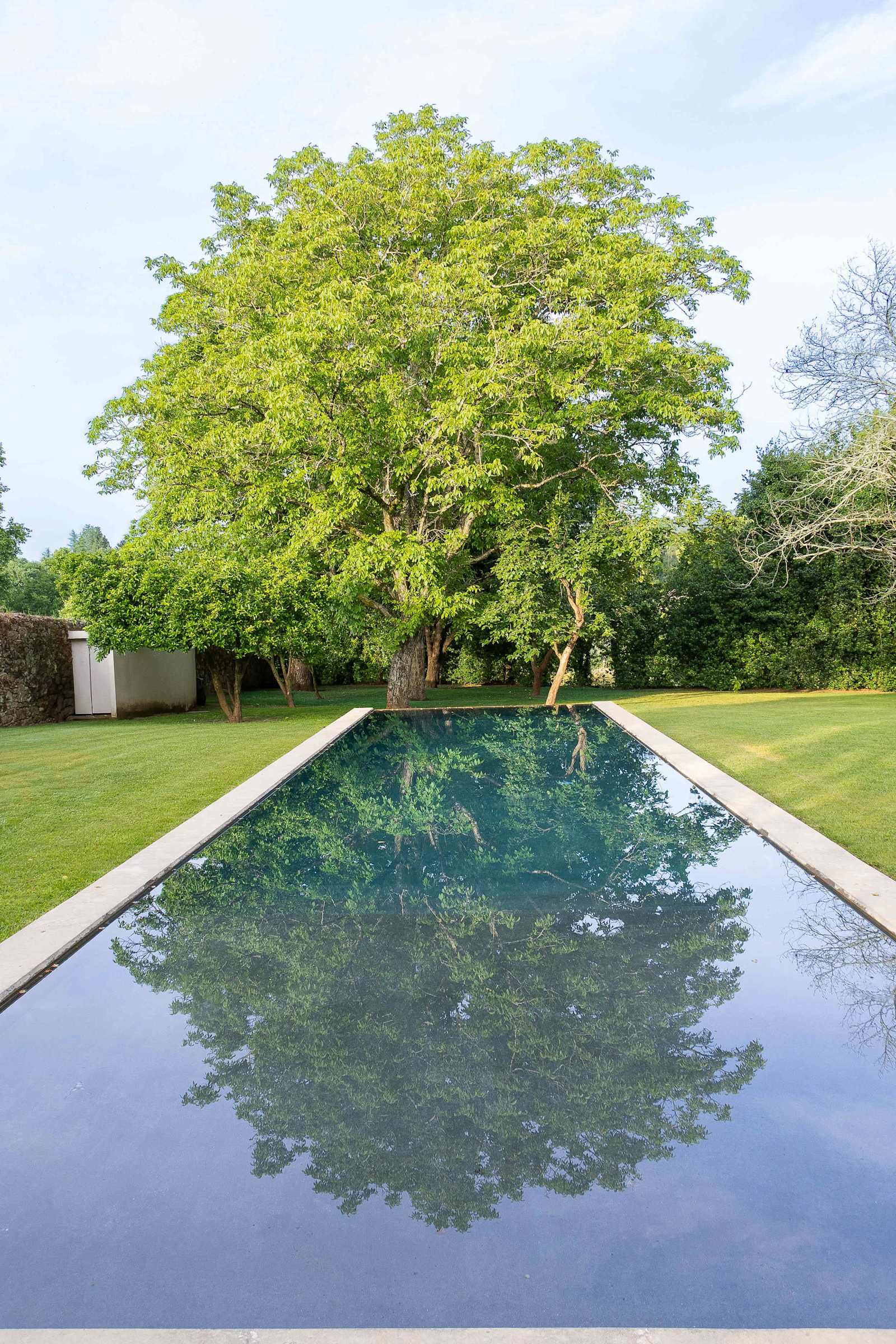 Carcavelos Manor House – luxury villa in Minho, Portugal – image 7