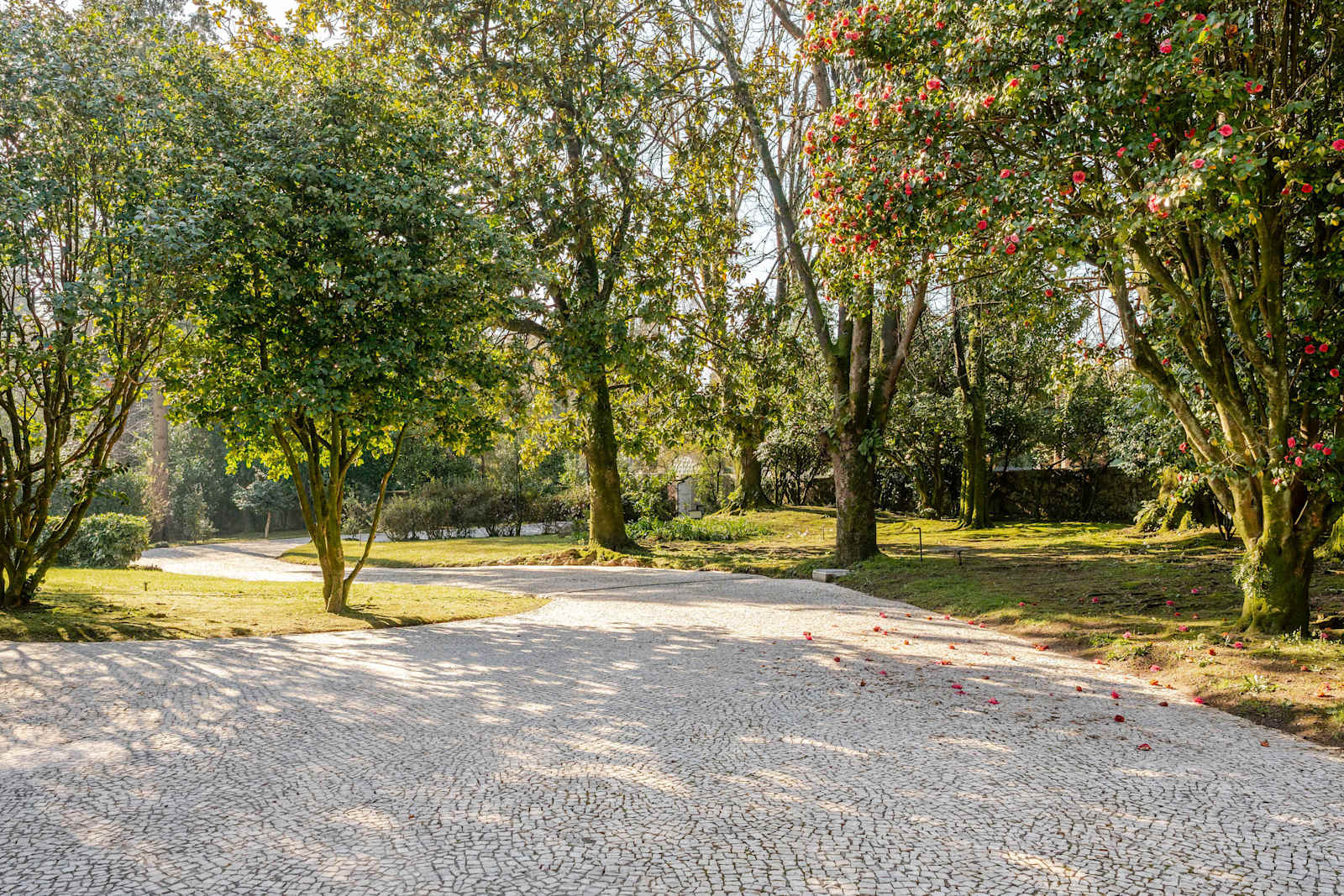 Abreu Retreat Palace I Luxury Elegance and Leisure Villa – luxury villa in Minho Coast, Portugal – image 74