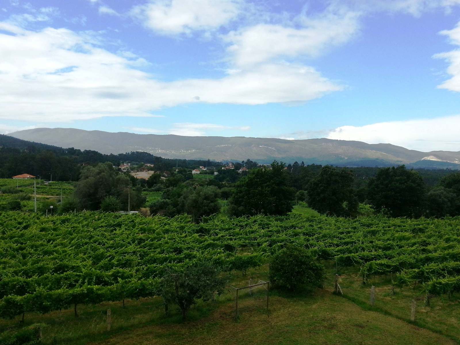 Quinta da Teimosa – luxury villa in Minho, Portugal – image 18