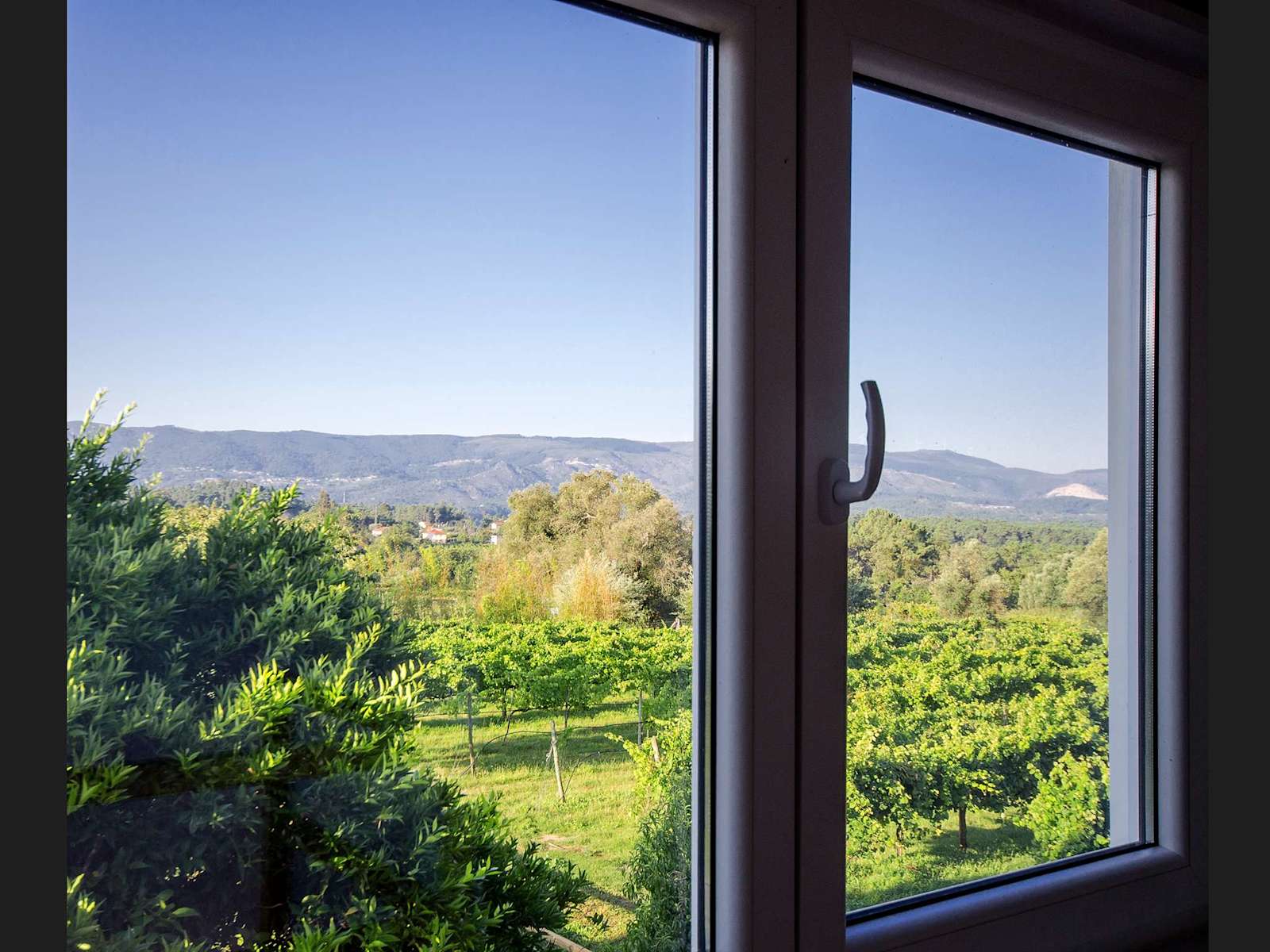 Quinta da Teimosa – luxury villa in Minho, Portugal – image 9