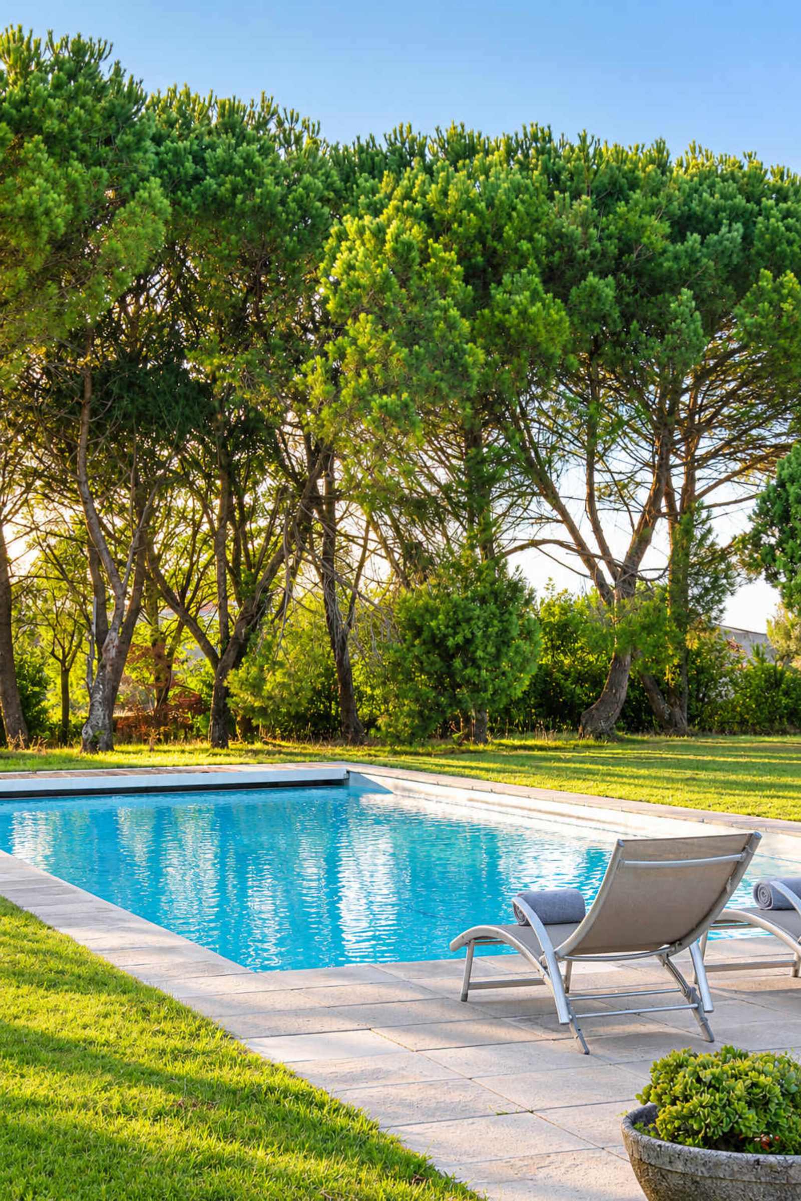 Oliveira's Farm – luxury villa in Minho, Portugal – image 85