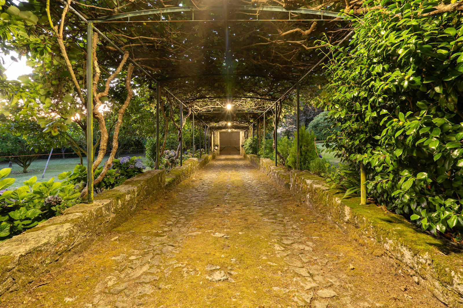 Farmhouse – luxury villa in Minho, Portugal – image 14
