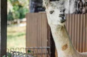 Ridgeway Ranch