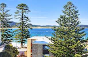 Pine Tree Penthouse