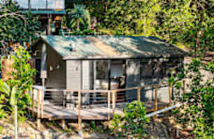 The Cabin