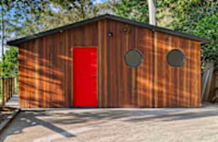 The Cabin