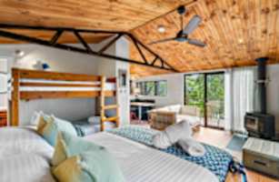 The Cabin