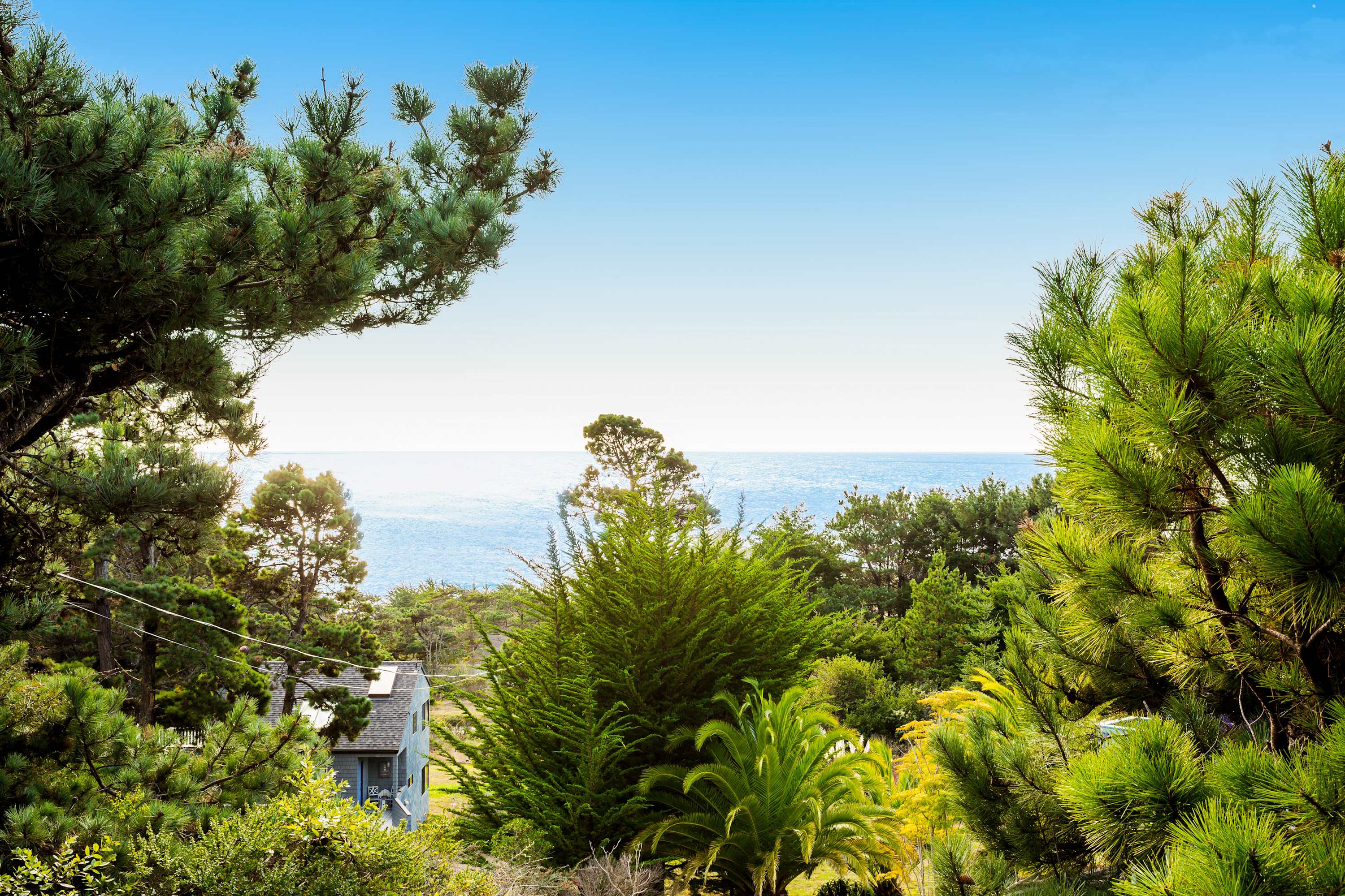 Gaze out at the breathtaking ocean view, where the lush landscape and serene blue skies set the scene for unforgettable moments.