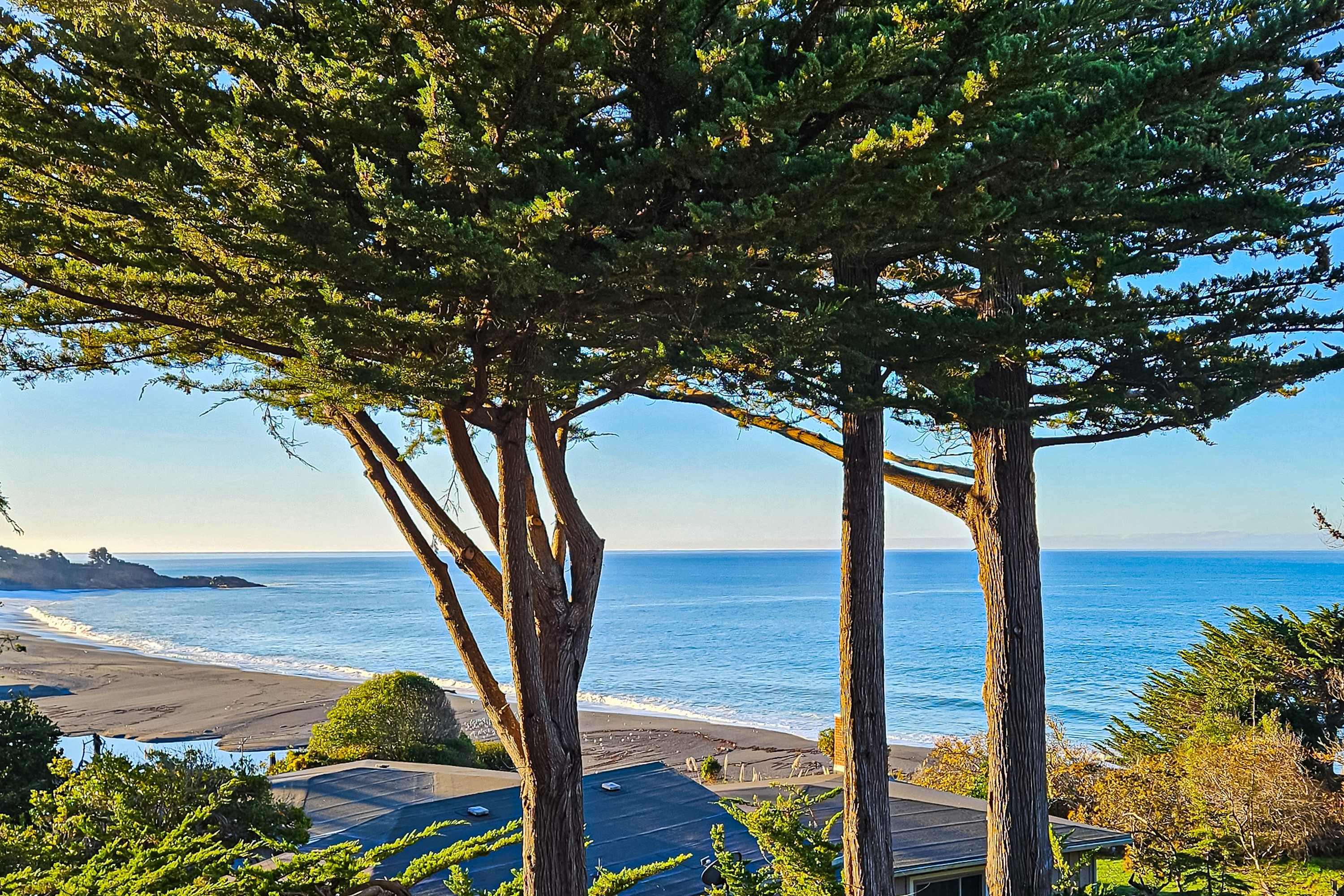 Framed by coastal trees, this stunning ocean view invites you to explore the beauty of Gualala's shores.