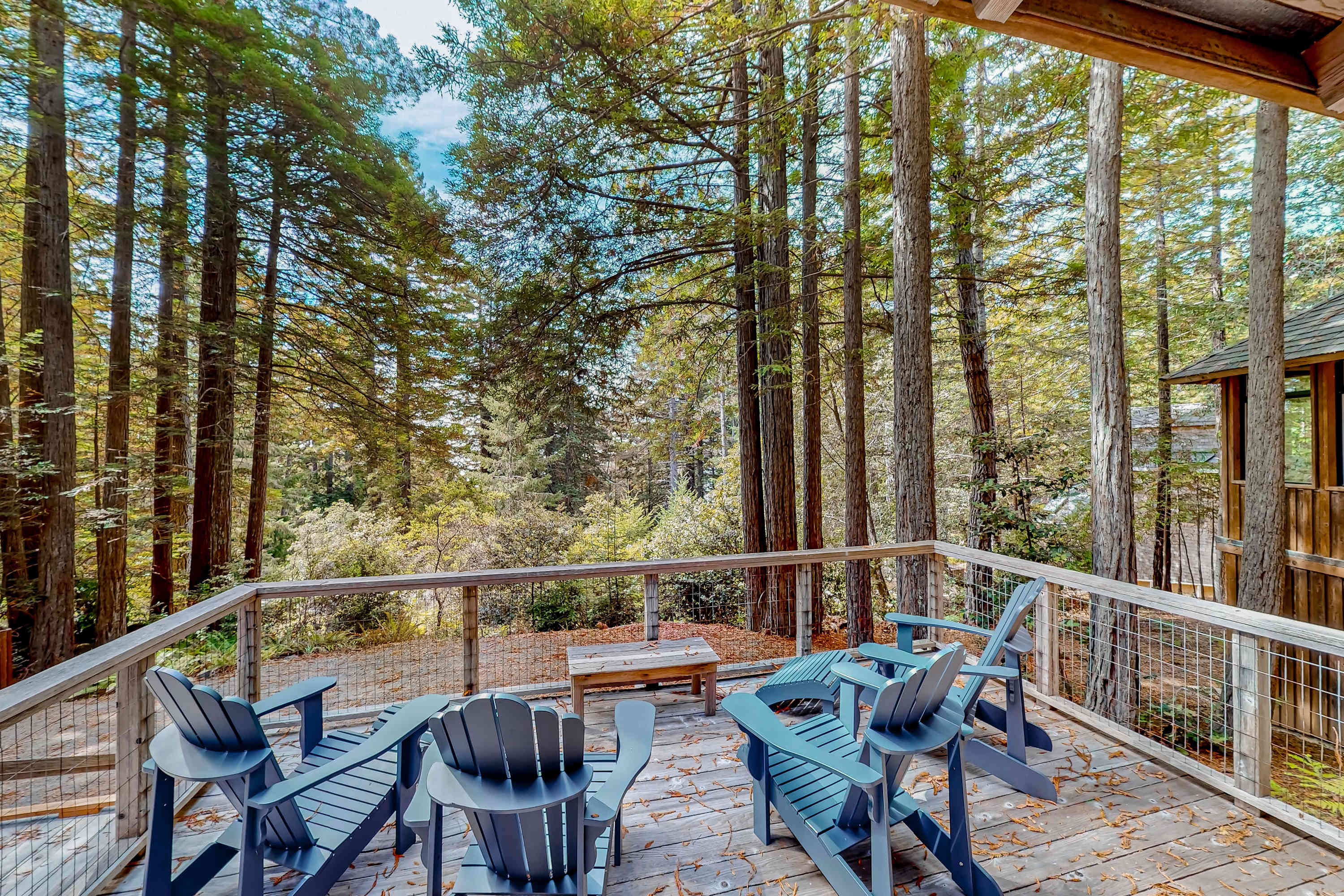Step onto your private deck, surrounded by towering redwoods, perfect for morning coffee or evening stargazing.