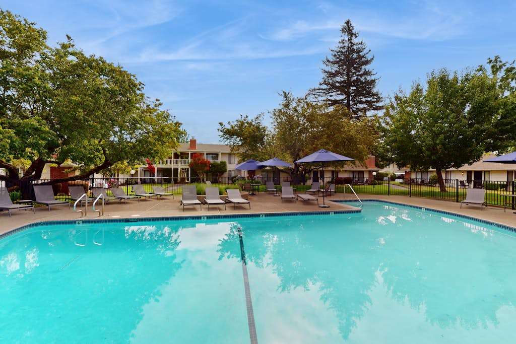 Cool off in your resort's sparkling outdoor pool surrounded by lounge chairs, shade umbrellas, and mature Napa Valley trees — perfect after a day of tastings.