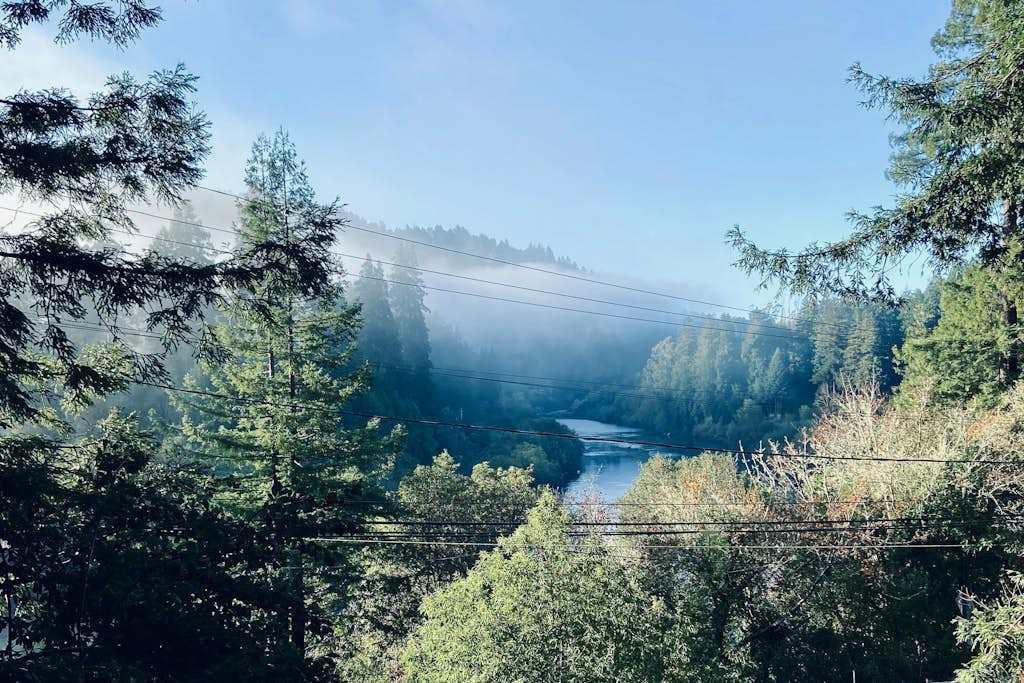 Wake up to morning mist drifting over the Russian River — your private redwood-framed vista stretches across the canyon from this Monte Rio hideaway.