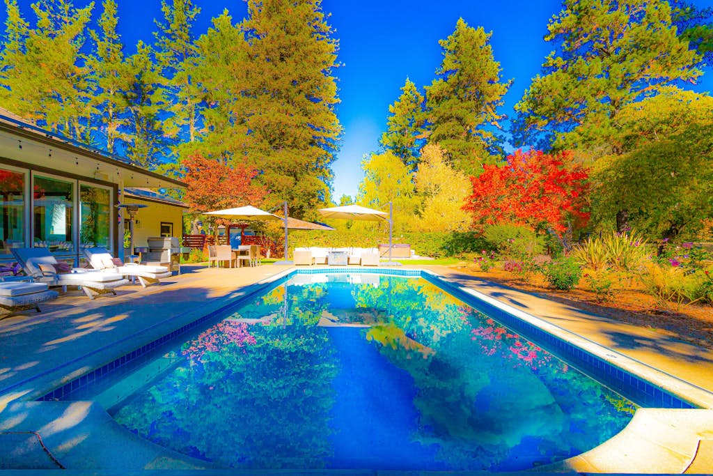Autumn hues frame your poolside oasis — grab a Sonoma rosé, settle under the umbrellas, and let the warm Sebastopol sunshine do the rest