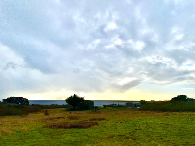 view of the ocean and meadow from the deck