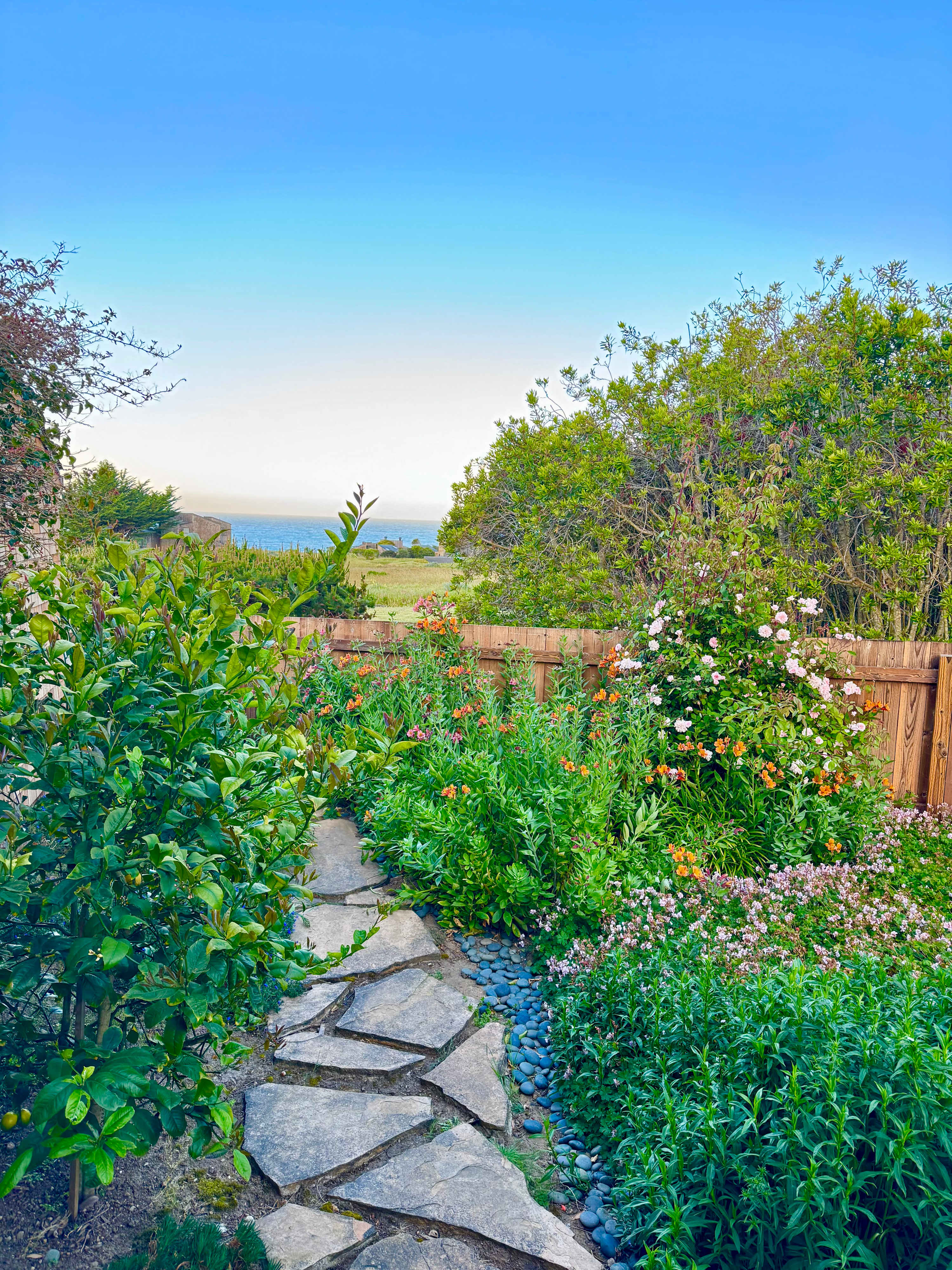 Enjoy coffee in the bright private courtyard garden