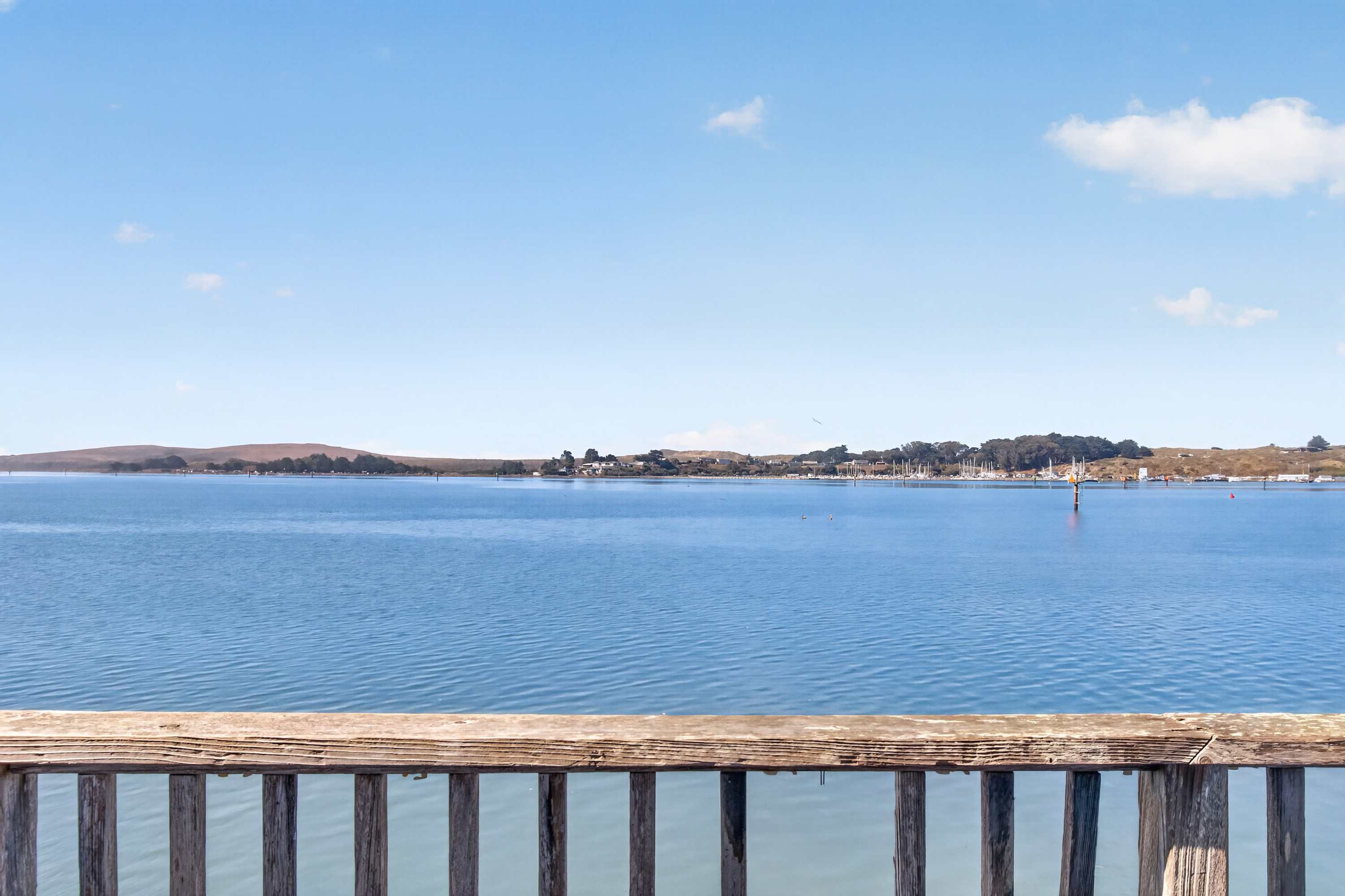 Lean on the weathered deck railing and watch Bodega Bay stay flat blue all the way to the marina masts on the far shore.