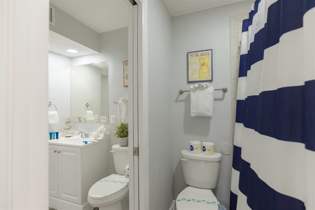 The Summit 504 – Compact bathroom with sink, mirror, toilet, shower curtain, and decorative wall art.