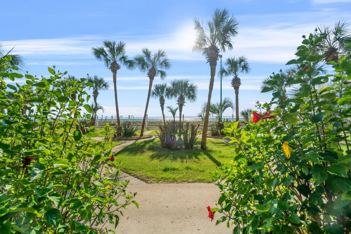 The Summit 105 – Pathway leading through greenery to a view of palm trees and ocean.