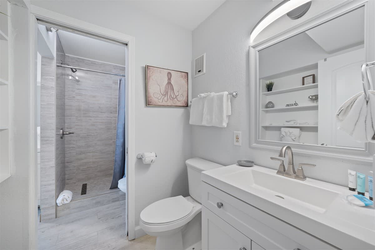 The Summit 621 – Modern bathroom with shower, vanity sink, towel rack, and octopus artwork on the wall.