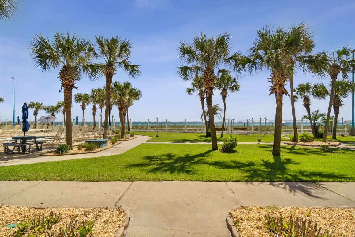 The Summit 108 – Lush lawn with palm trees and a view of the beach and ocean in the background.