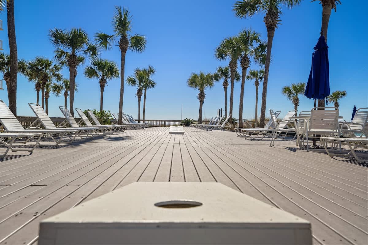 Dunes C605 – Outdoor pool area with lounge chairs, palm trees, and ocean view under a clear blue sky.