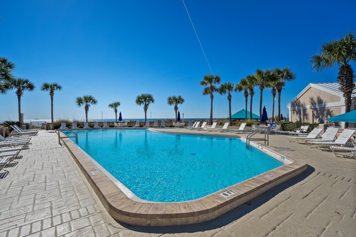 Dunes C605 – Swimming pool surrounded by palm trees and lounge chairs, with a clear sky in the background.