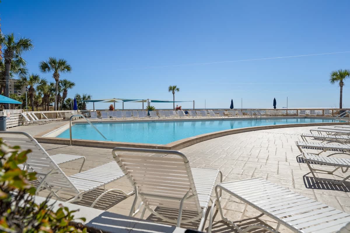 Dunes C605 – Pool area with lounge chairs, surrounded by palm trees and an ocean view under a clear blue sky.