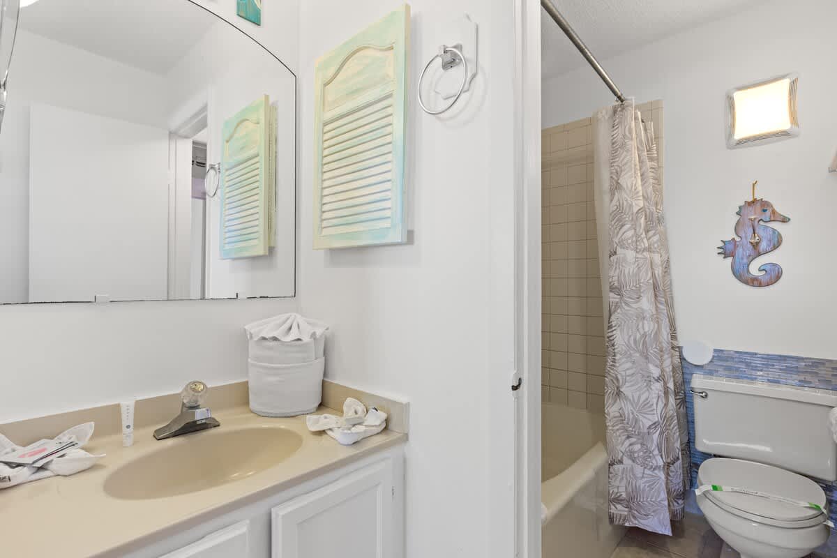 The Summit 1009 – Bathroom featuring a sink, mirror, shower curtain, and decorative seahorse.