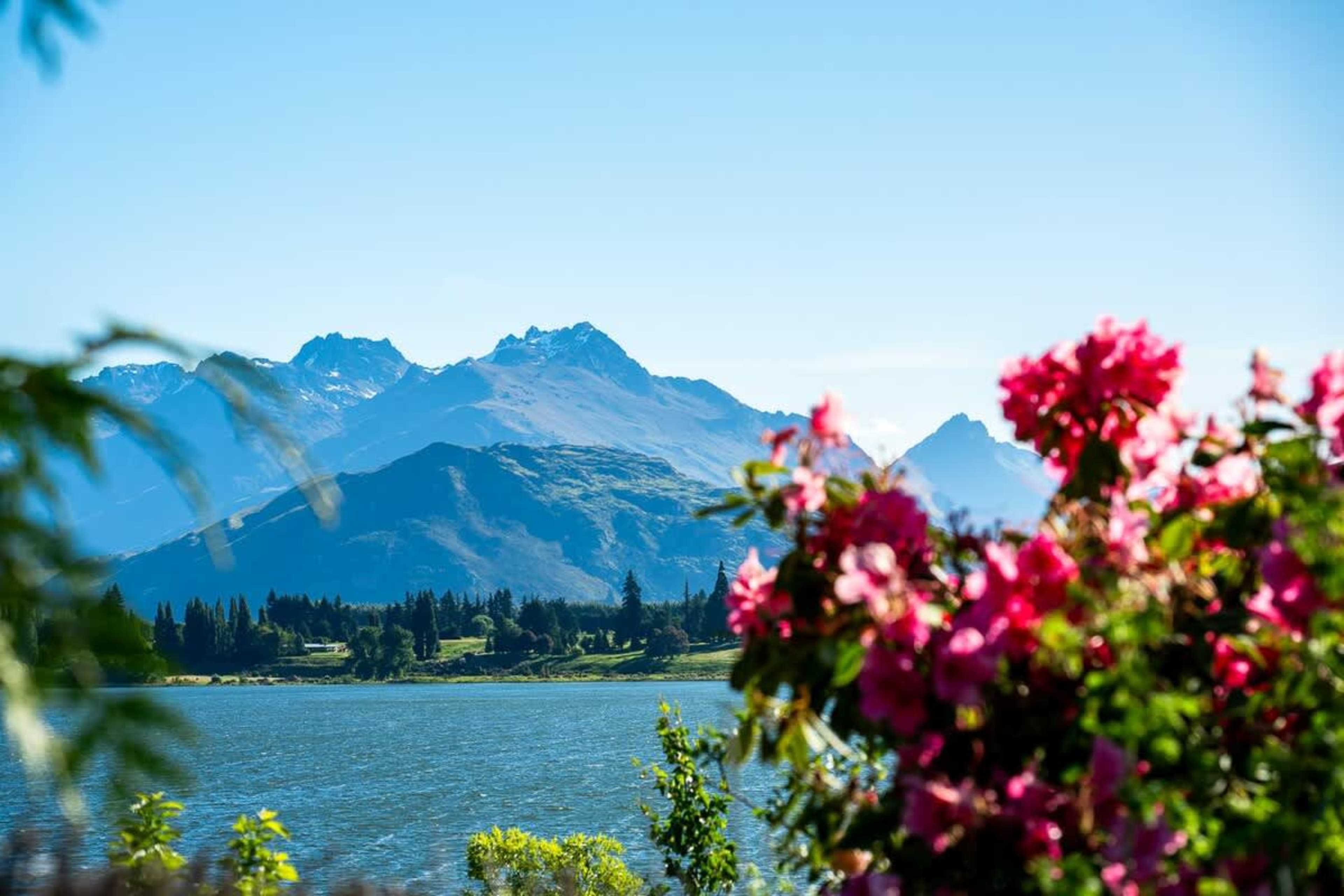 Lake Hayes Luxury Villa