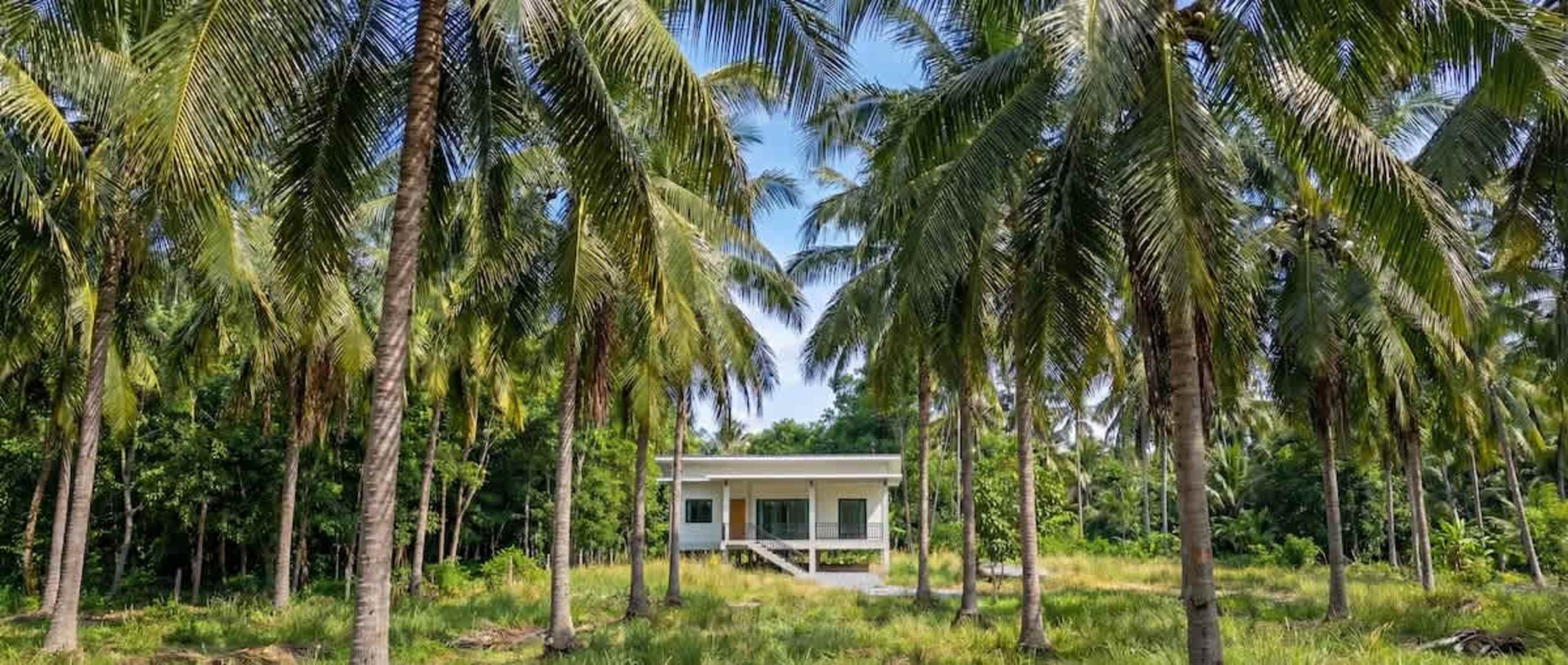 Coconut Villa - Image 1