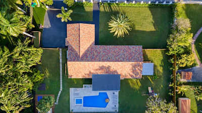 Birds eye