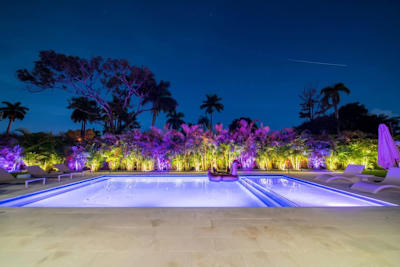 Gorgeous backyard lights