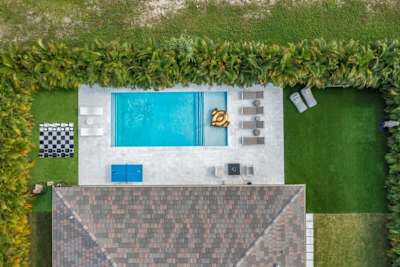 BIrds eye