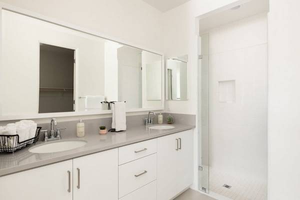 Master Suite Bathroom