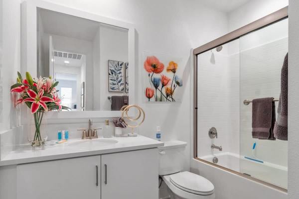 Hallway Bathroom