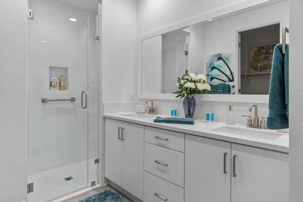 Suite Bathroom