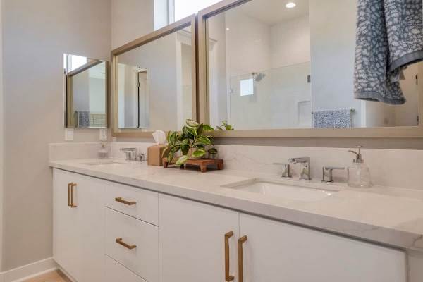 Master Suite Bathroom