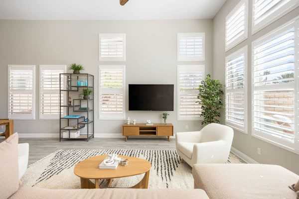Soft natural light fills this easy, welcoming living room.