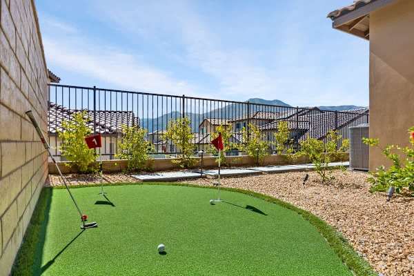 Putting green in the backyard!