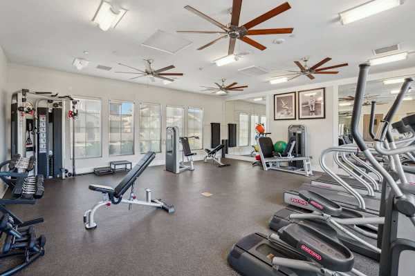 The communal fitness center is fully stocked with all the machines you need!