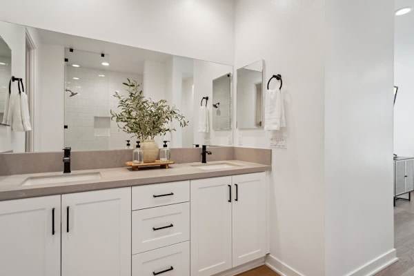 Master Suite Bathroom