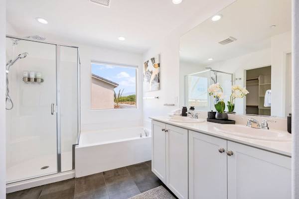 Master Suite Bathroom
