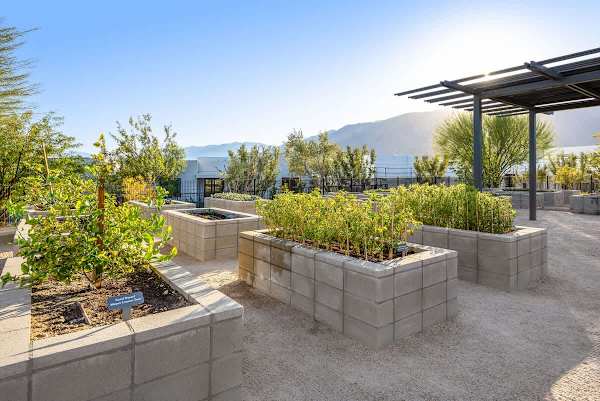 Stylish Desert Home Mountain Views & Tesla Charger