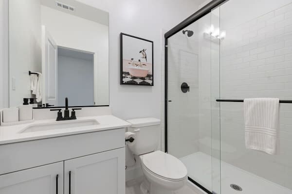 Hallway Bathroom 3 (downstairs)