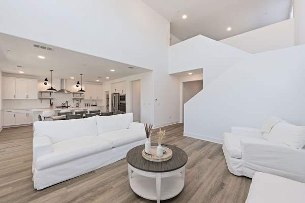 Living Room (Downstairs)