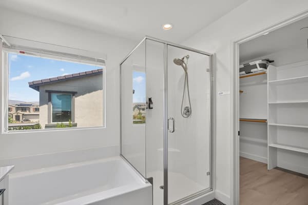 Master Suite Bathroom