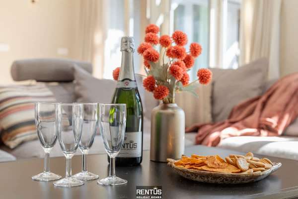 Villa Hoge Duin - spacious villa with large garden