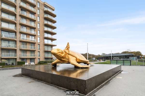 Newport 3 - comfortable luxury apartment near the sea